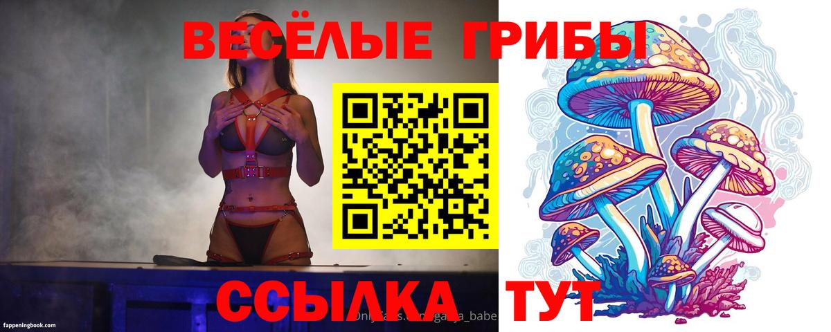 Псилоцибиновые грибы мухоморы  Псилоцибиновые грибы мицелий  Вход с VPN  Георгиевск 